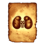 Symbol Kidney