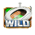 Symbol Wild