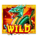 Symbol Wild