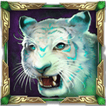 Symbol Tiger