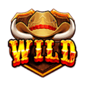 Symbol Wild
