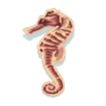 Symbol Seahorse