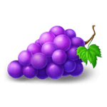 Symbol Grape