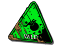 Symbol Wild