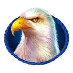 Symbol Eagle