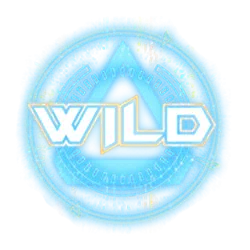 Symbol Wild