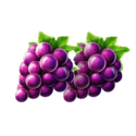 Symbol Grape