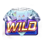 Symbol Wild