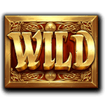 Symbol Wild