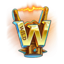 Symbol Wild