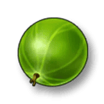 Symbol Gooseberry