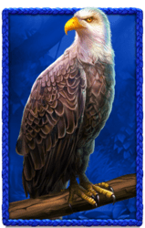 Symbol 326