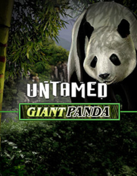 Play Free Demo of Untamed Giant Panda Slot by Microgaming