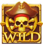 Symbol Wild