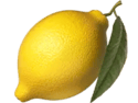 Symbol Lemon