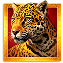 Symbol Panther
