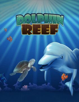 Dolphin Reef