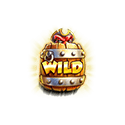 Symbol Wild