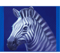 Symbol Zebra