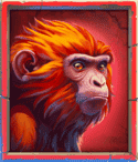 Symbol Monkey