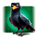 Symbol Crow