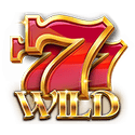 Symbol Wild