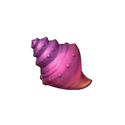 Symbol Shell