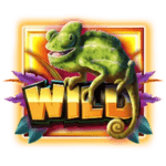 Symbol Wild