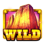 Symbol Wild