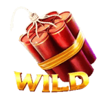 Symbol Wild