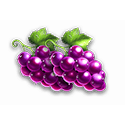 Symbol Grape