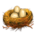 Symbol Nest