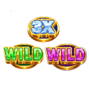 Symbol Any Wild