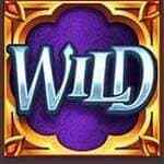 Symbol Wild