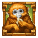 Symbol Monkey