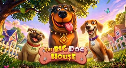 The Big Dog House