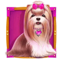 Symbol Pink dog