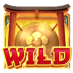 Symbol Wild