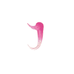 Symbol Jack