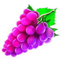 Symbol Grape