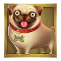 Symbol Small dog