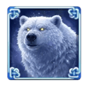 Symbol Bear