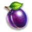 Symbol Plum