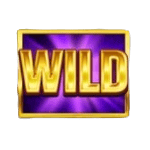 Symbol Wild