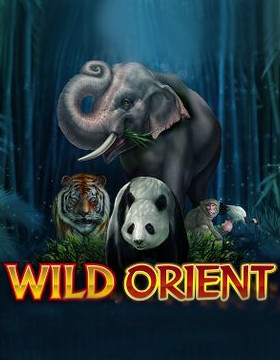 Play Free Demo of Wild Orient Slot by Microgaming
