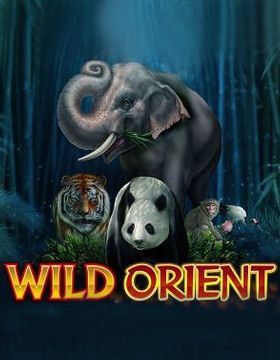 Wild Orient
