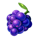 Symbol Grape