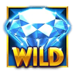 Symbol Wild
