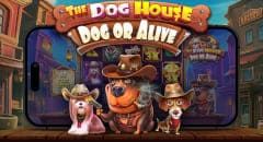 The Dog House - Dog or Alive
