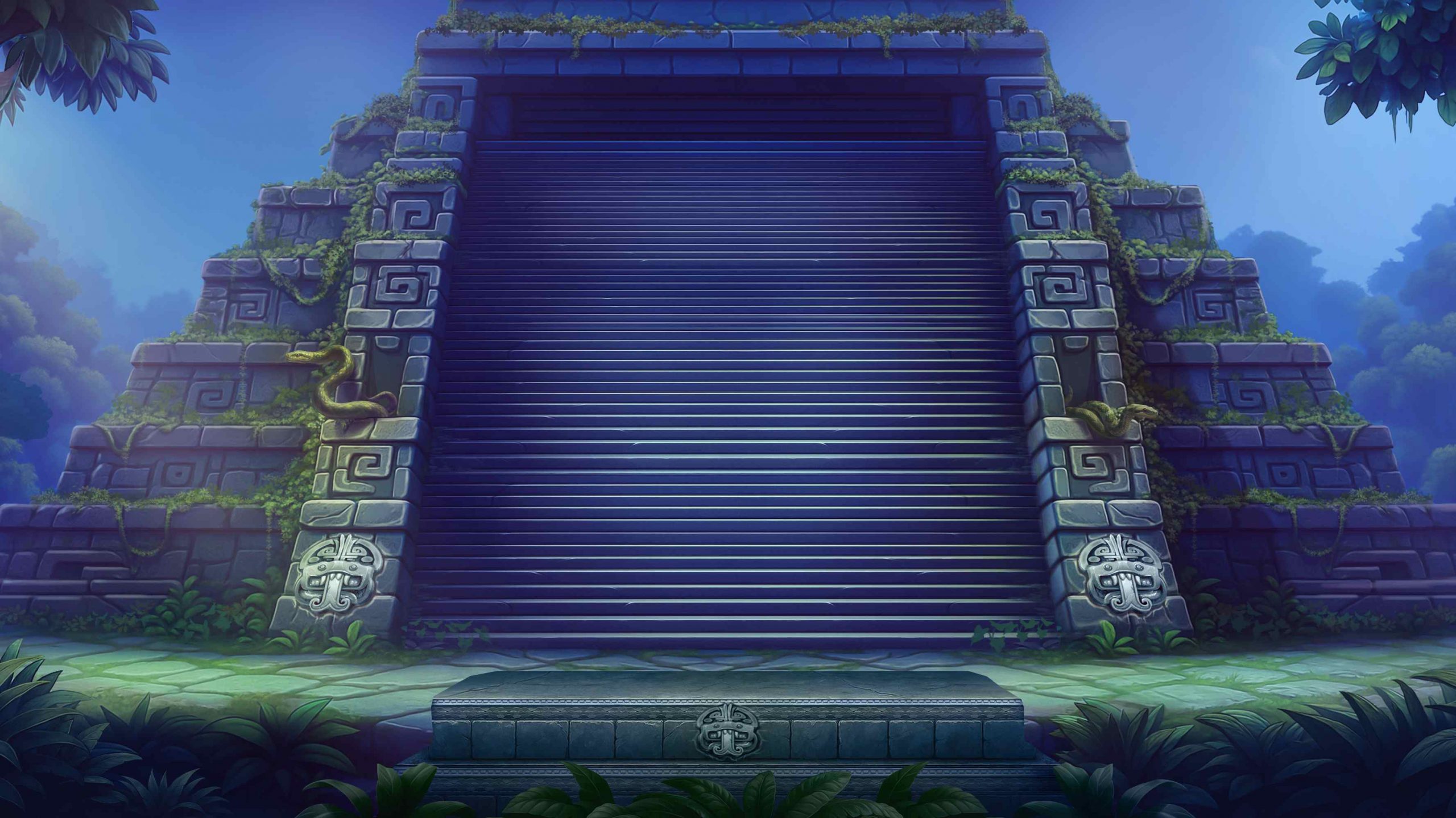  bg